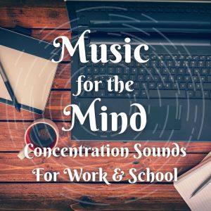 Listen to Living song with lyrics from Feng Shui