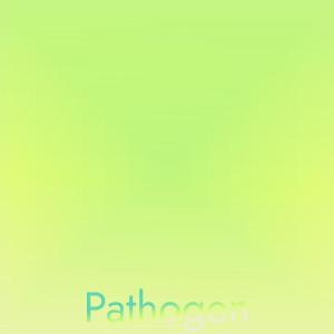收聽Fras Pame的Way Situations歌詞歌曲