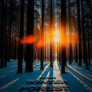 Album WINTER FOREST from LAIORI