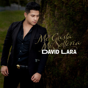 Album Me Gusta Mi Solteria from David Lara