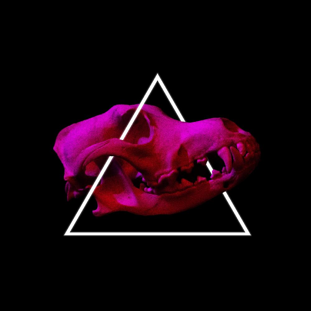 Predator ('Raw Cuts' Remix) (Tim Taylor 'Raw Cuts' Remix)