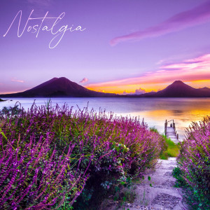Album Nostalgia oleh Hermansyah