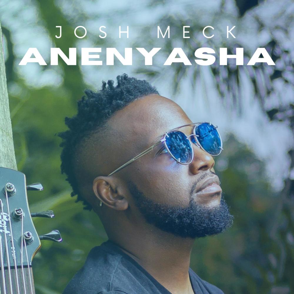 Anenyasha