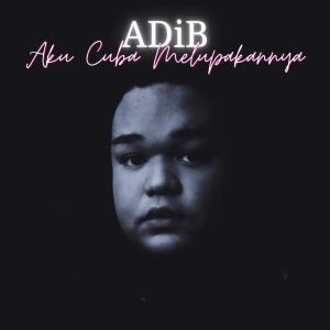 Listen to Aku Cuba Melupakannya song with lyrics from Adib