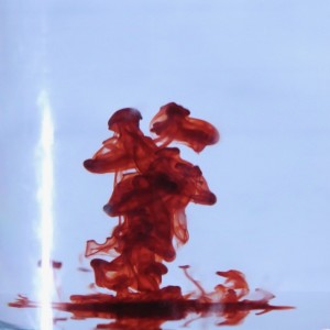 Fla.mingo的专辑The Haunt