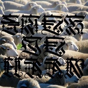ดาวน์โหลดและฟังเพลง Don't lose sleep over the opinion of sheep. พร้อมเนื้อเพลงจาก Stef de Haan