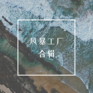 Various Artists的專輯風暴工廠合輯