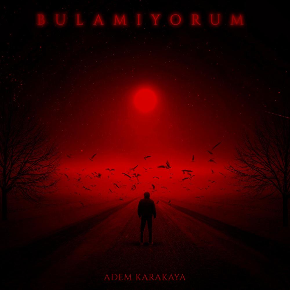 BULAMIYORUM