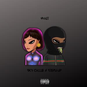 收聽SleazyWorld Skyy的WAIT (feat. Steph Up) (Explicit)歌詞歌曲