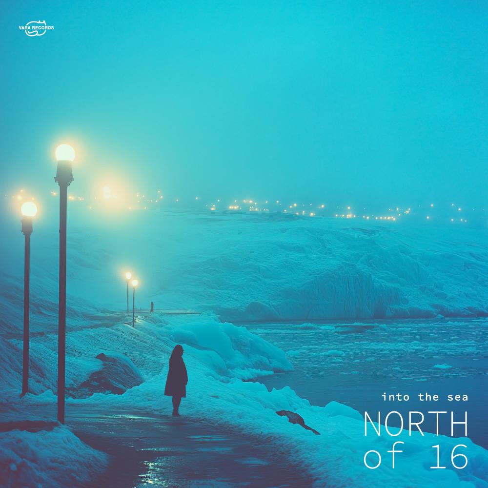 into the sea