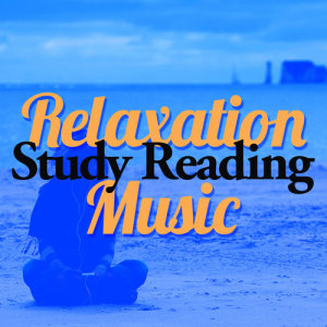 Relaxation Reading Music的專輯Relaxation Study Reading Music