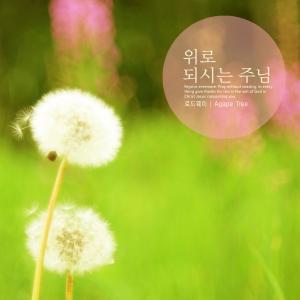 Listen to Always by your side song with lyrics from 로드웨이