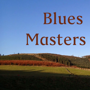 Listen to Baby Please Dont Go song with lyrics from Joe Williams' Washboard Blues Singers