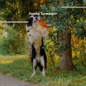 Listen to Equitable Laa song with lyrics from Terral Cally