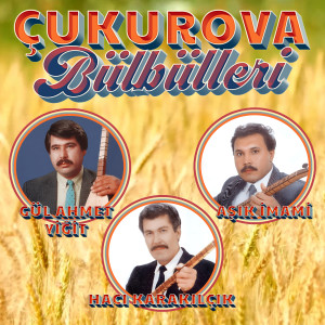อัลบัม Çukurova Bülbülleri ศิลปิน 群星