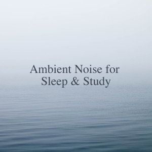 收听Easy Sleep Music的Binaural Cabin Sound歌词歌曲