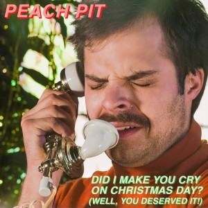 收聽Peach Pit的Did I Make You Cry on Christmas Day? (Well, You Deserved it!)歌詞歌曲