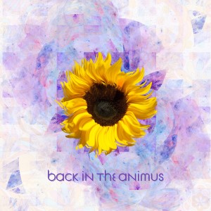 收聽blossm & co的Back In The Animus歌詞歌曲