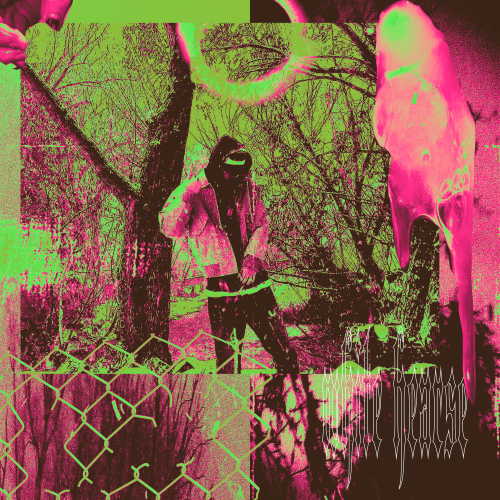 WHITE HEARSE (Explicit)