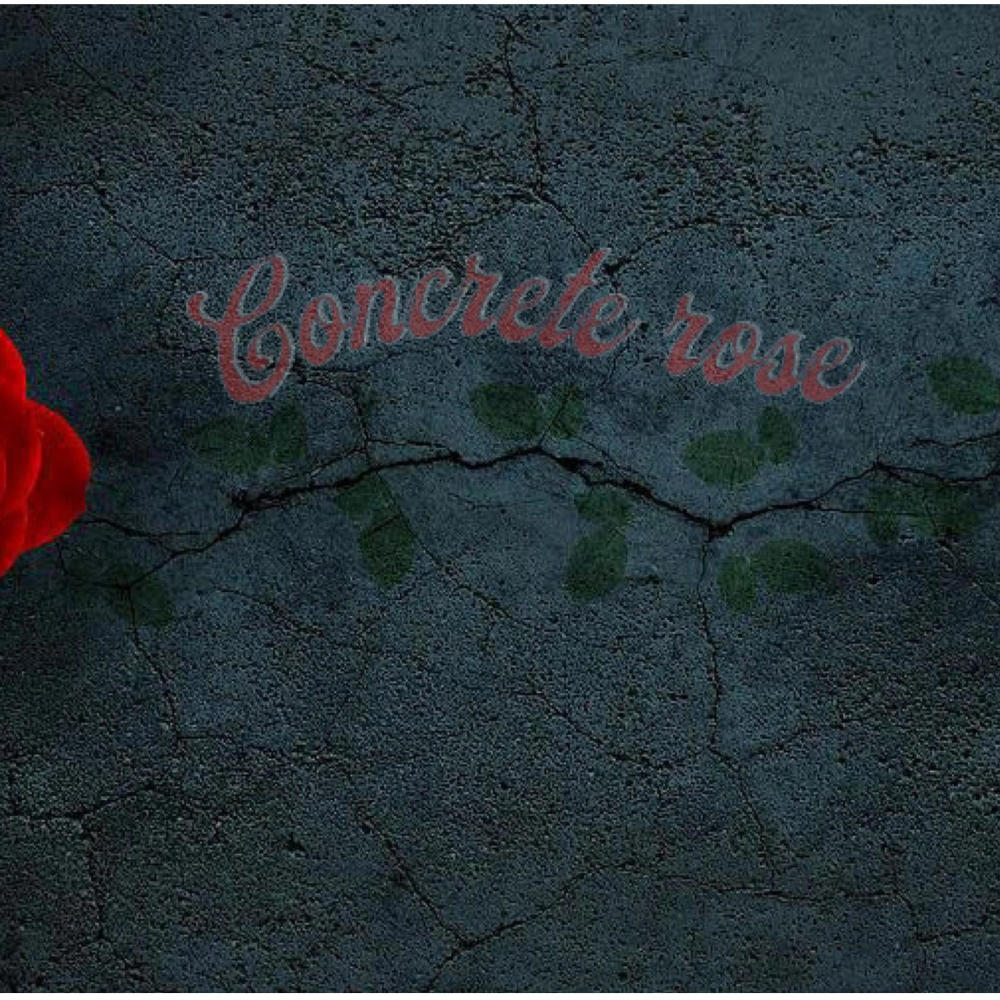 Concrete Rose