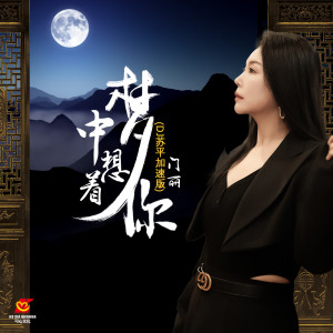 Album 梦中想着你 (DJ苏平加速版) from 门丽