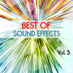 Album Best of Sound Effects. Sounds and Backing Loops, Vol. 3 oleh DJ Sound Effects