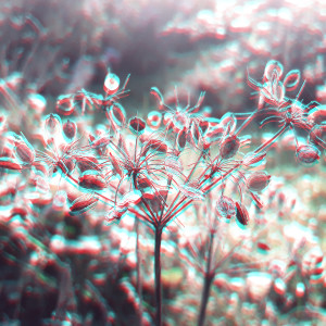 ดาวน์โหลดและฟังเพลง Tethys พร้อมเนื้อเพลงจาก Vâyu