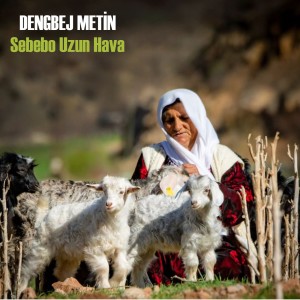 Album Sebebo Uzun Hava from Dengbej Metin