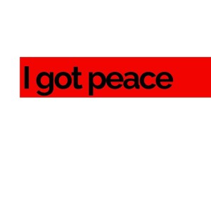 Listen to I got peace song with lyrics from Renard