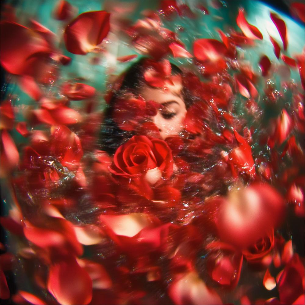 Can't Stop Loving You (Ambient)