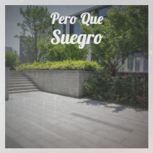 Album Pero Que Suegro from Various