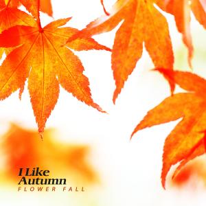 Album I Like Autumn from 꽃내림