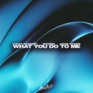 Listen to What You Do To Me song with lyrics from Lucas Estrada