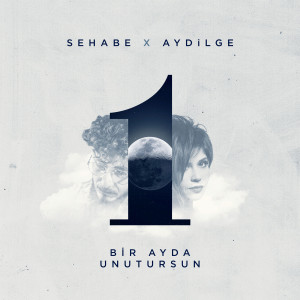 Album Bir Ayda Unutursun from Sehabe