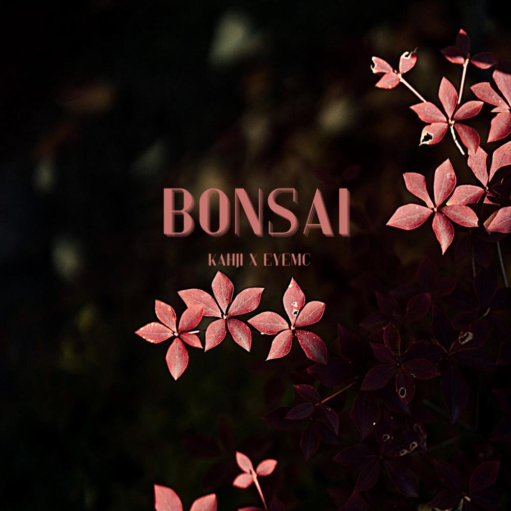 Bonsai (feat. Eyemc)