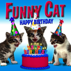 收聽Funny Cats的Happy Birthday (Funny Cats Singing Version)歌詞歌曲