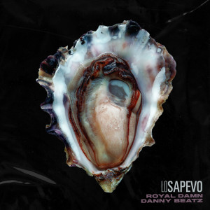 Album Lo sapevo from 