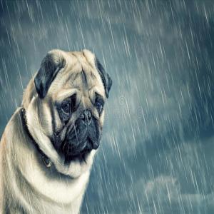 收聽GABEDOESNTSLEEP的im balling and lil sad (Explicit)歌詞歌曲