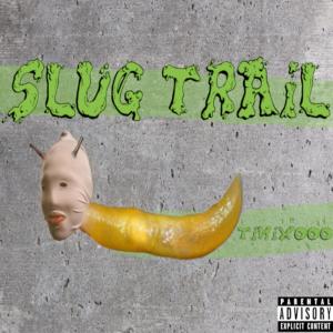 ดาวน์โหลดและฟังเพลง Slug Trail (Explicit) พร้อมเนื้อเพลงจาก Timix000