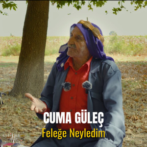 Album Feleğe Neyledim from 
