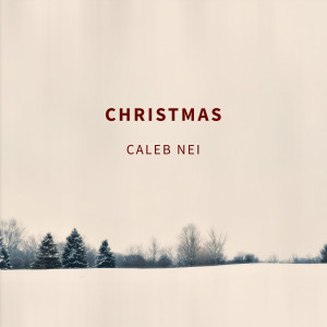 ดาวน์โหลดและฟังเพลง Santa Clause Is Coming to Town พร้อมเนื้อเพลงจาก Caleb Nei