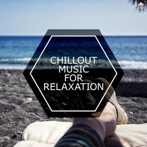 Various Artists的專輯Chillout Music for Relaxation