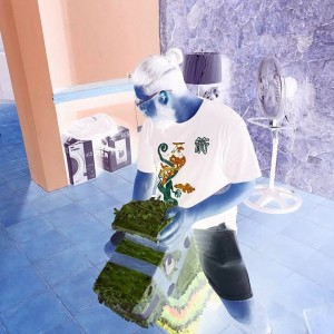 default playlist img