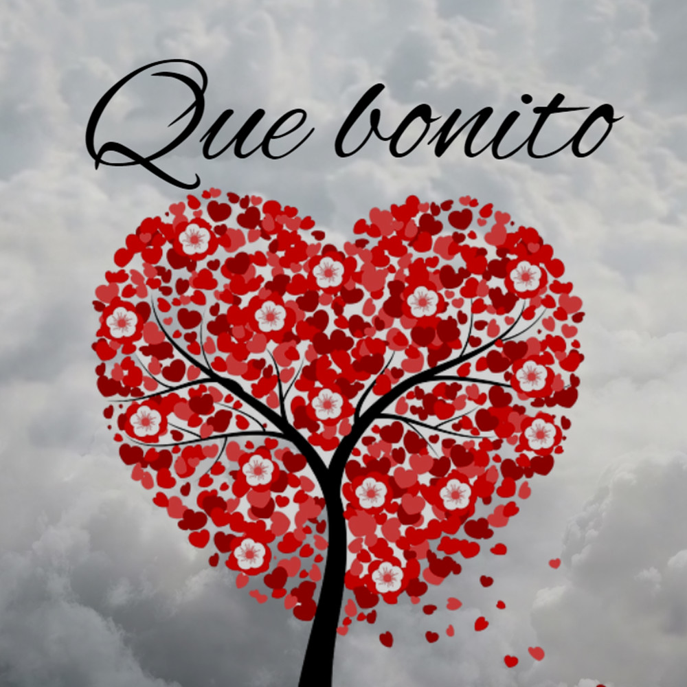 Que Bonito (其他)