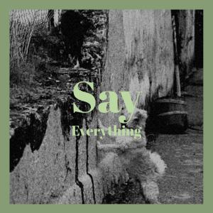 Various的专辑Say Everything