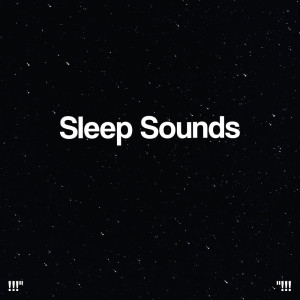 Nature Sounds Nature Music的专辑"!!! Sleep Sounds !!!"