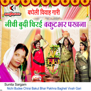 Album Nichi Budee Chirai Bakut Bhar Pakhna Bagheli Vivah Gari from Sunita Sargam