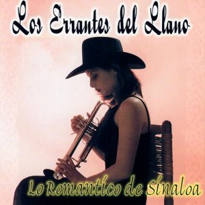 ดาวน์โหลดและฟังเพลง Mi Decepción พร้อมเนื้อเพลงจาก Los Errantes Del Llano