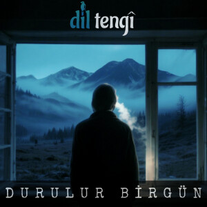 Album Durulur Birgün from 