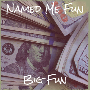 Big Fun的专辑Named Me Fun (Explicit)